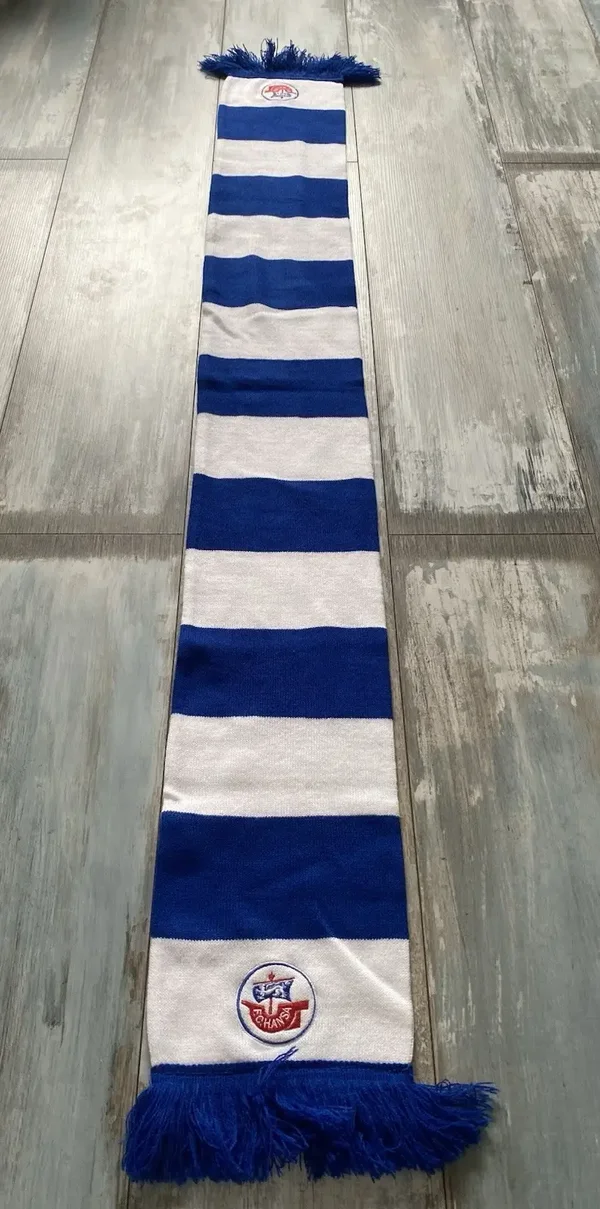 FC Hansa Rostock Fan Schal ⚽️ Balkenschal ⚽️ Blockschal ⚽️ To Zustand 🧣⚽️🧣