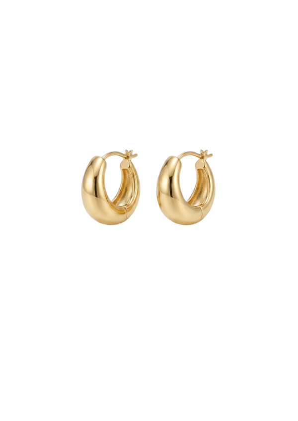 Aretes Vené