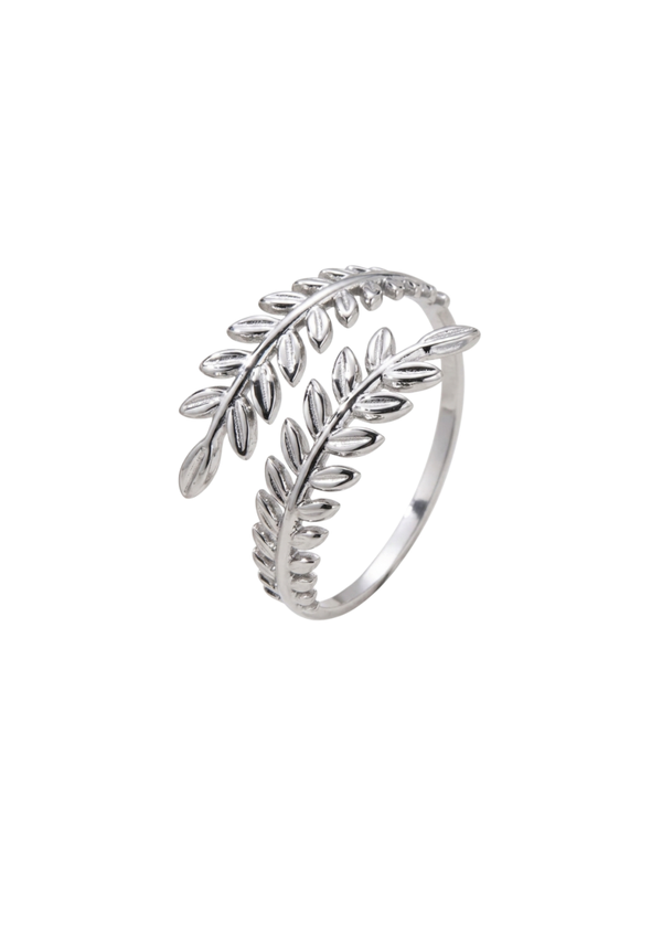 Anillo Oto