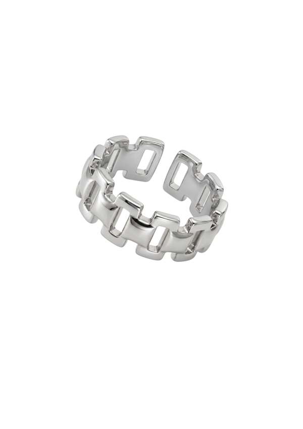 Anillo Vik