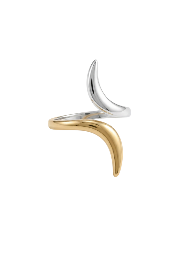 Anillo Coul
