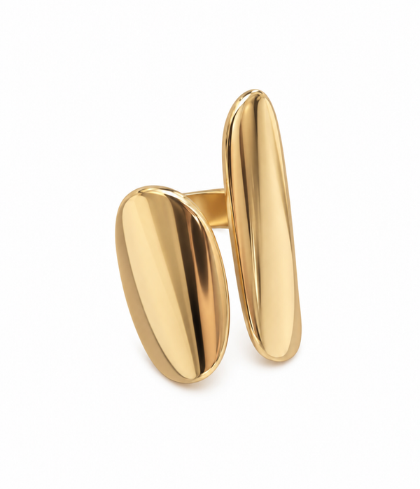 Anillo Dun