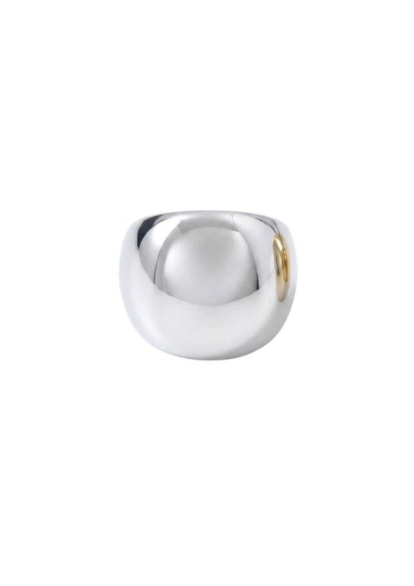 Anillo Bora