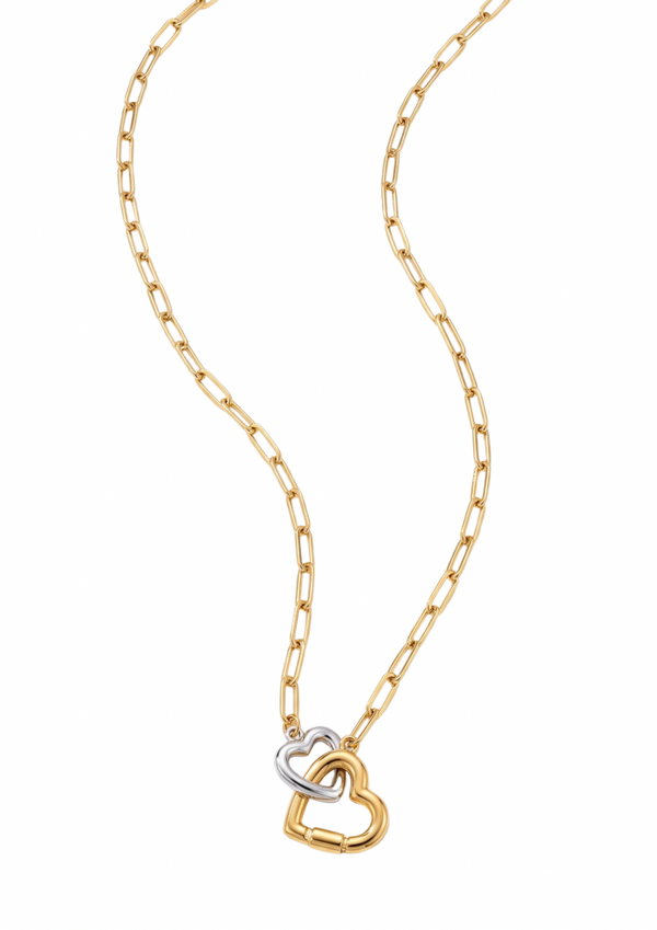 Collar Lexir