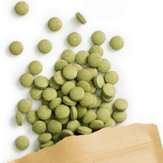 Moringa Presslinge Wildwuchs