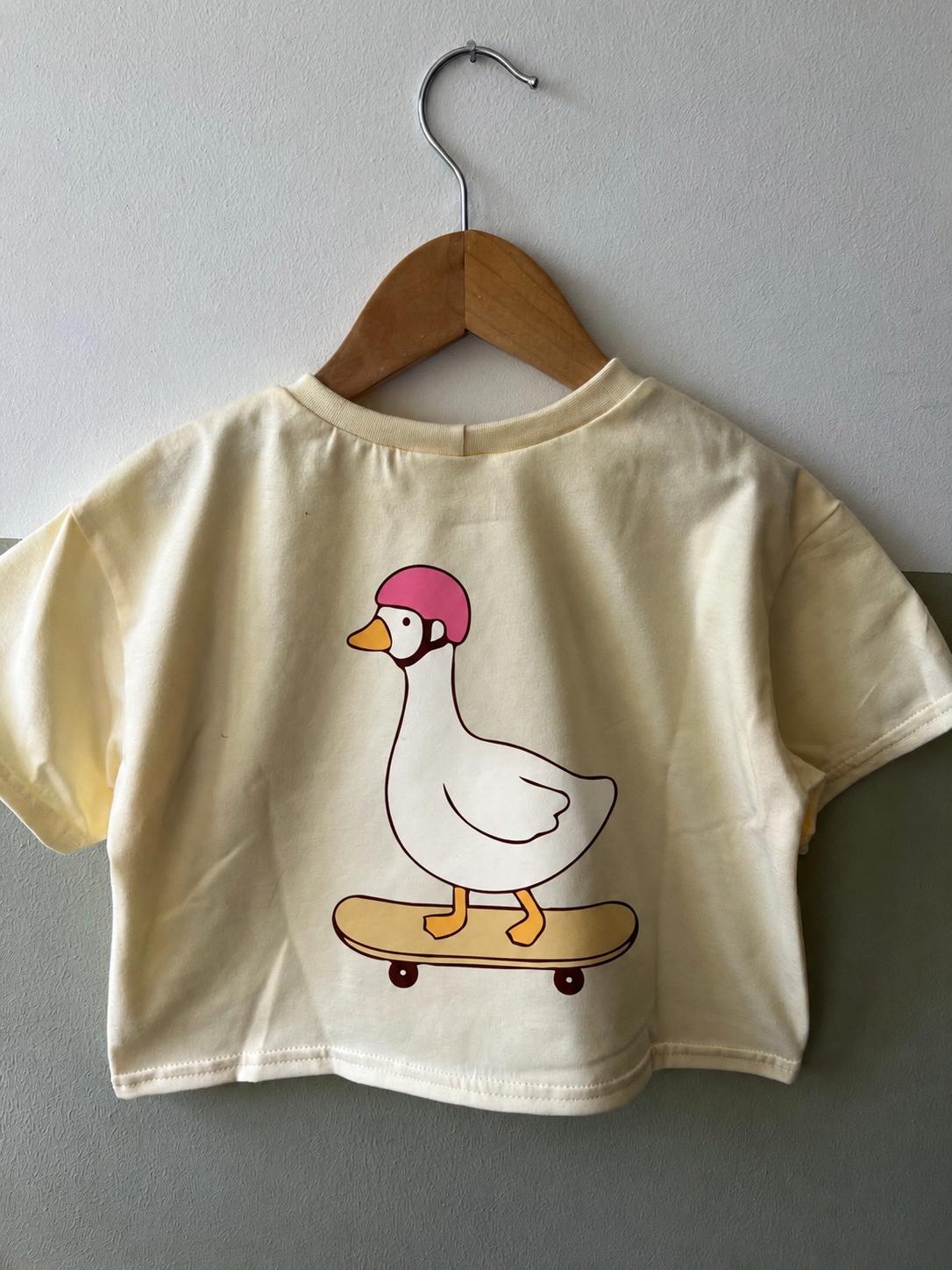 Shirt - silly goose