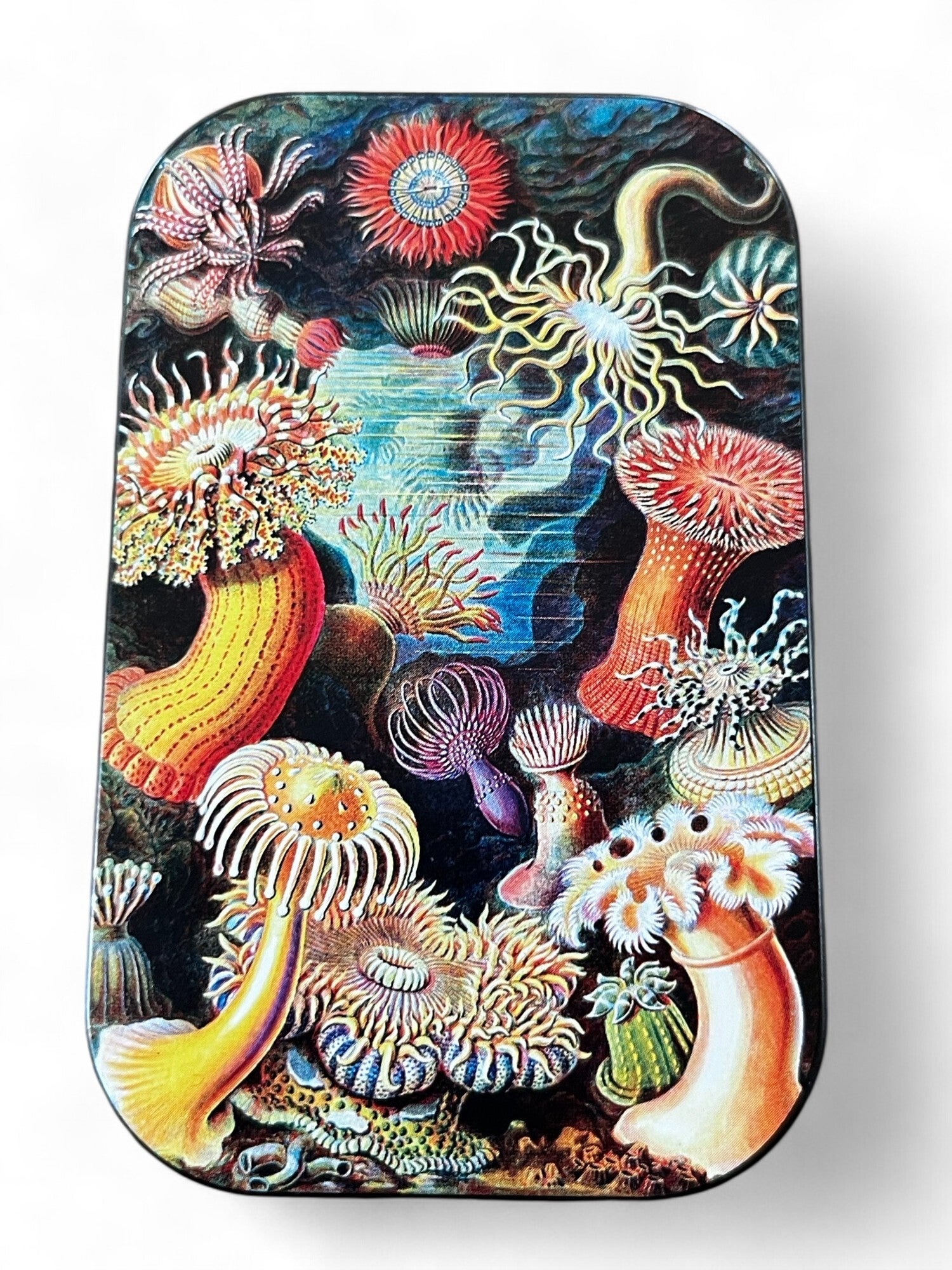 Lille metaldåse med farverig koral motiv