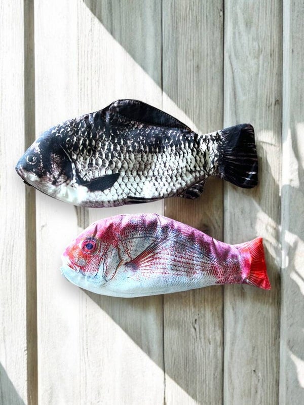 Sjove fiske penalhus