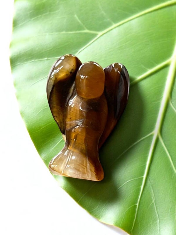 Lille skytsengel i Tigerøje