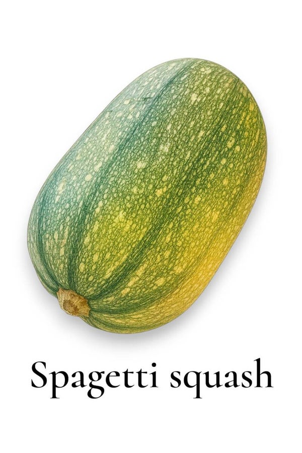 Spaghetti squash