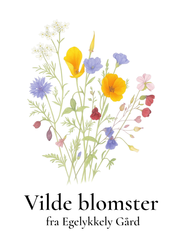 Vildeblomster
