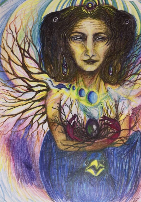 Birdwidow
