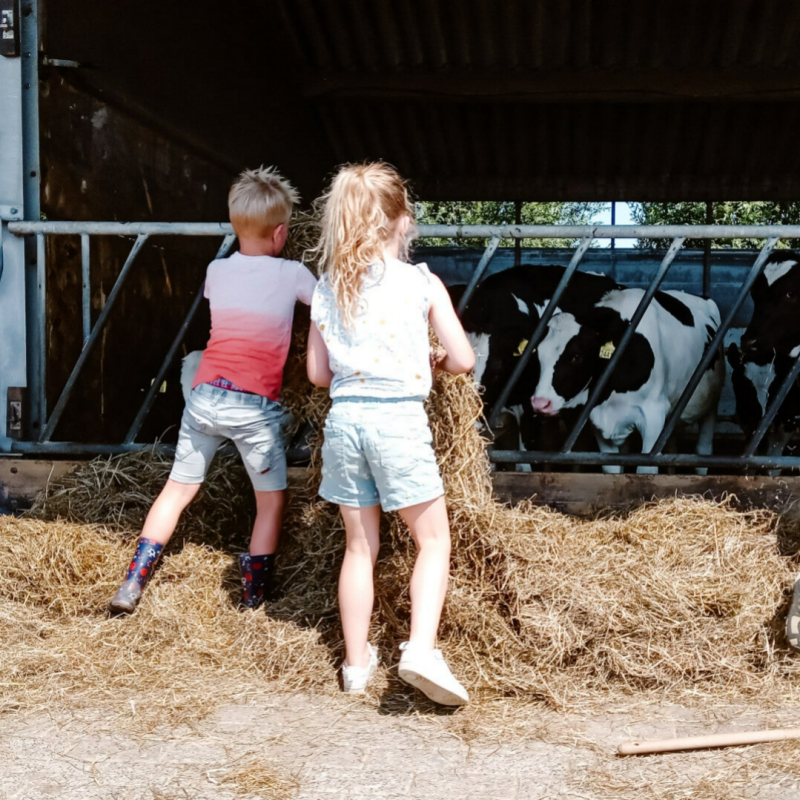 Belevend leren op de boerderij