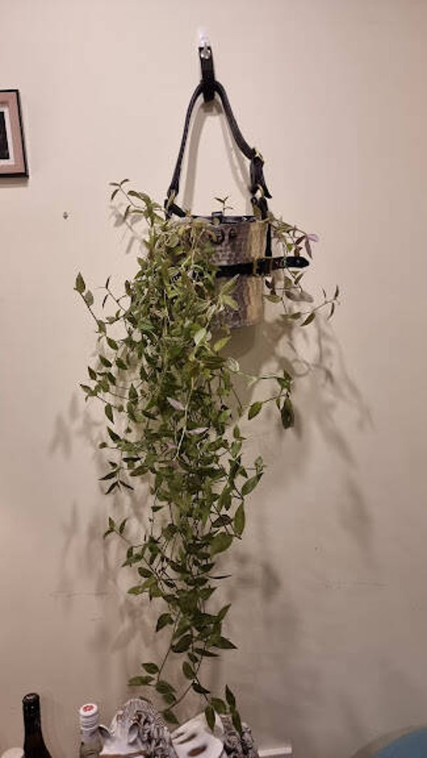 Halter Planter