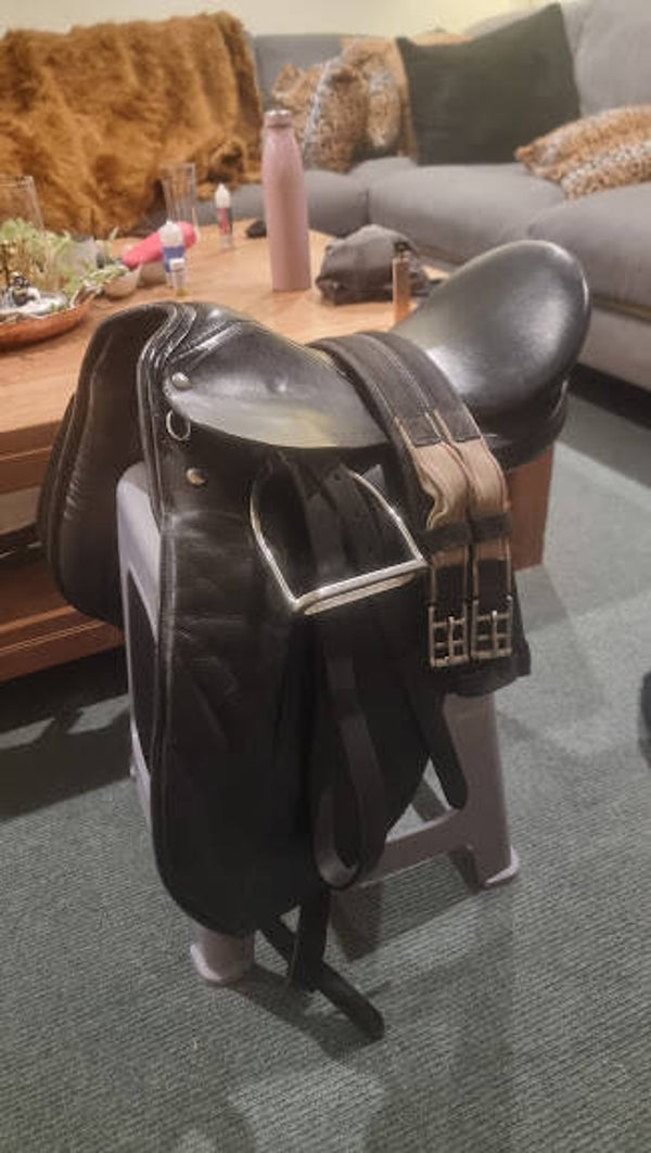 Dressage saddle pony
