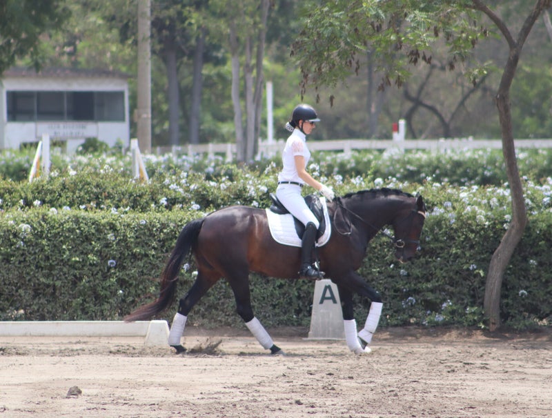 Belangrijke stap tijdens paardrijden: Doelen stellen. Dit geeft focus en invulling aan je trainingsPLAN en zorgt ervoor dat je vooruitgang boekt.