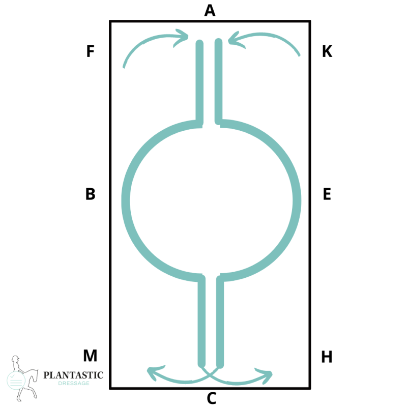 Geef je dressuurtrainingen een boost dankzij nieuwe en inspirerende oefeningen!