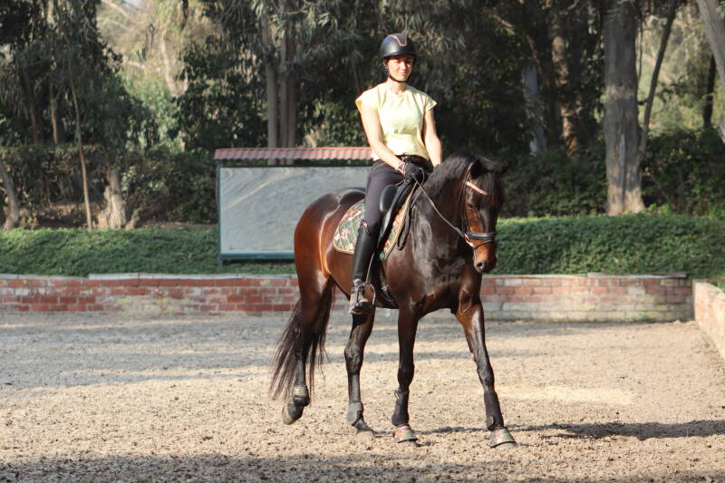 Oefeningen voor achterwaarts