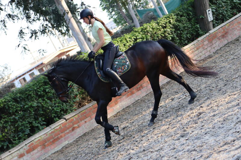 Oefeningen voor contragalop