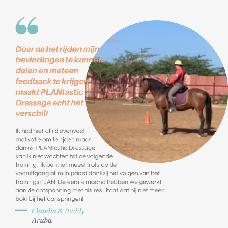KLantervaring: Door na het rijden mijn bevindingen te kunnen delen en meteen feedback te krijgen maakt PLANtastic Dressage echt het verschil!