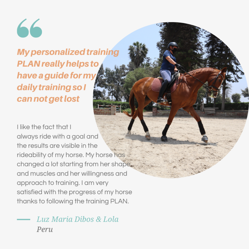Review: Thanks to my training PLAN my horse has changed a lot! Starting from her shape and mucles and her willingness and aprroach to training.