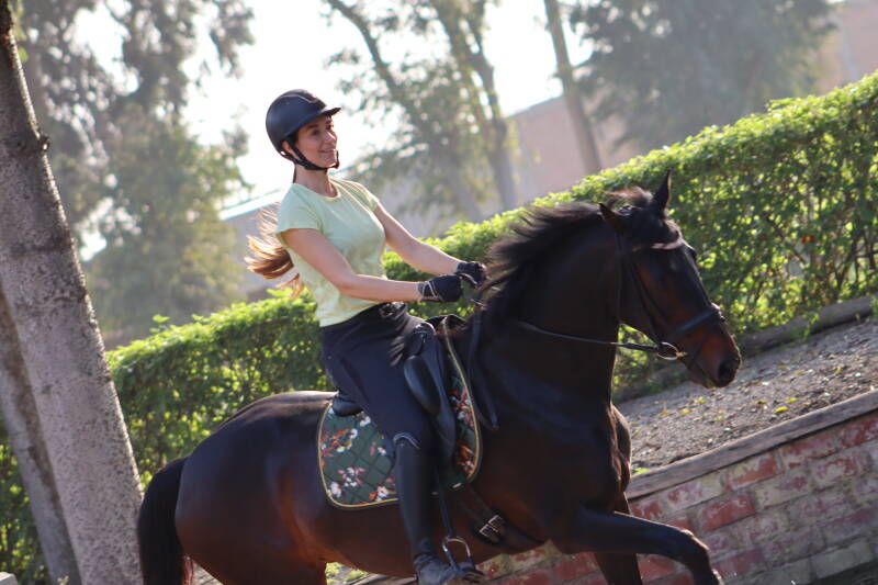 Proefgerichte oefening voor de slangenvolte met 3 bogen