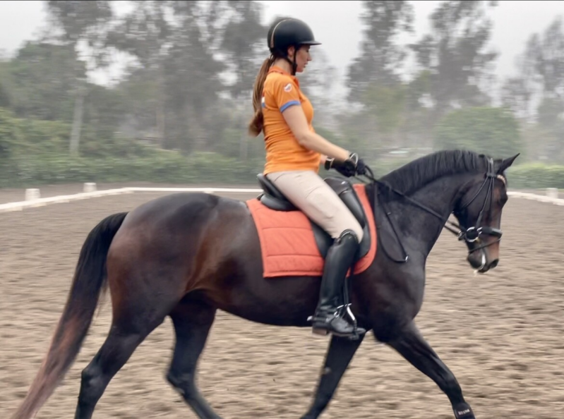 Tijdens de proef komen de oefeningen snel achter elkaar. De communicatie tussen jou en je paard moet dus optimaal zijn om dit foutloos uit te voeren. Met deze oefening werk je aan het verbeteren van de communicatie met je paard. 