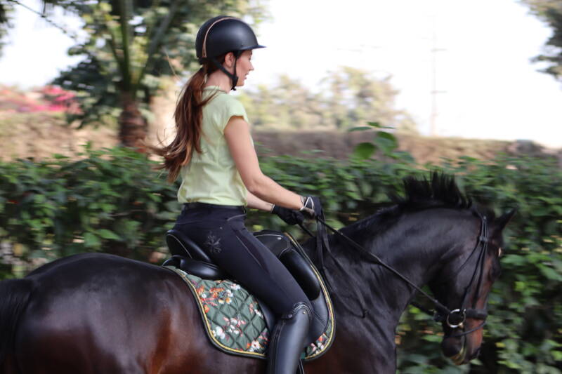 Werk aan de losgelatenheid en rechtgerichtheid met een slangenvolte