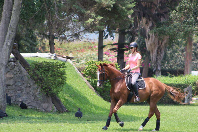 Gevraagde gangen per klasse