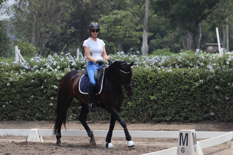 Evalueer je trainingsschema en stel bij