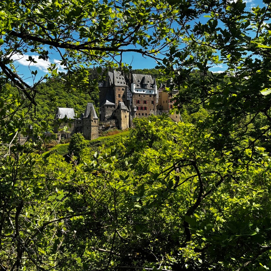 Blick auf die Burg Eltz vom Wanderweg durch das dichte grüne Blätterdach