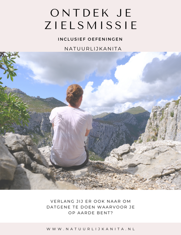 E-(work)book 'ontdek je missie'