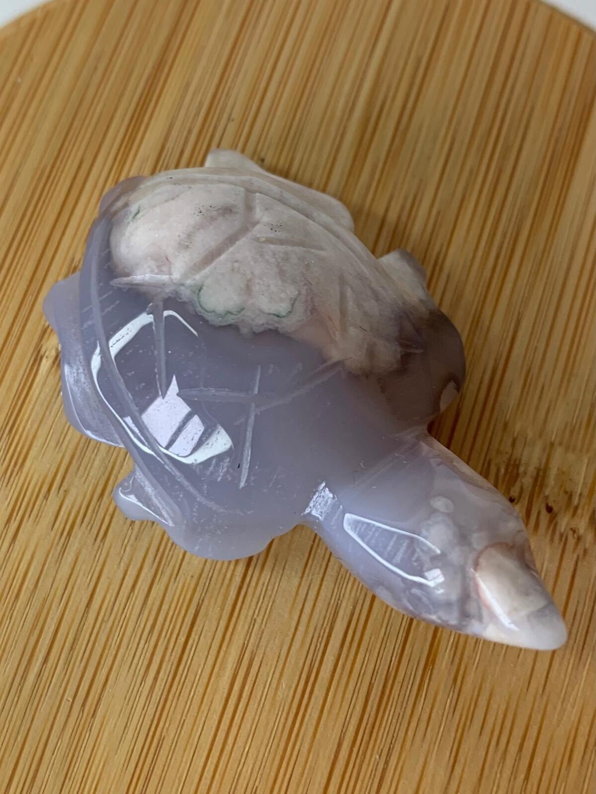 Zwarte bloemagaat schildpad