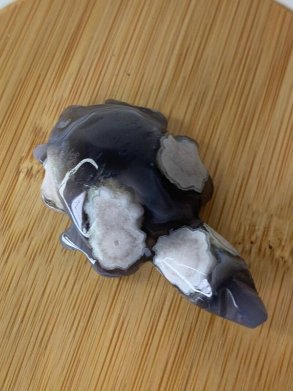 Zwarte bloemagaat schildpad