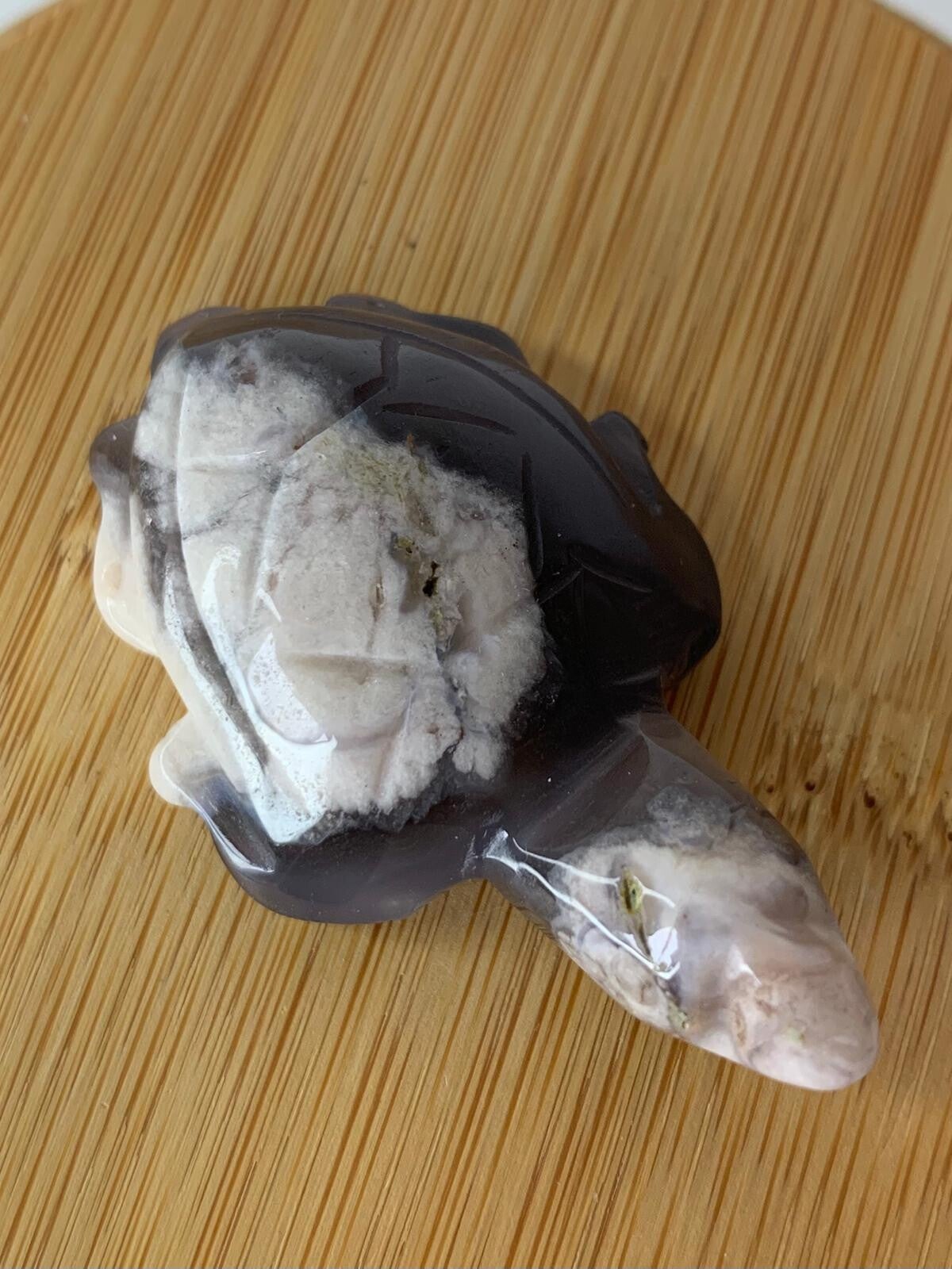 Zwarte bloemagaat schildpad