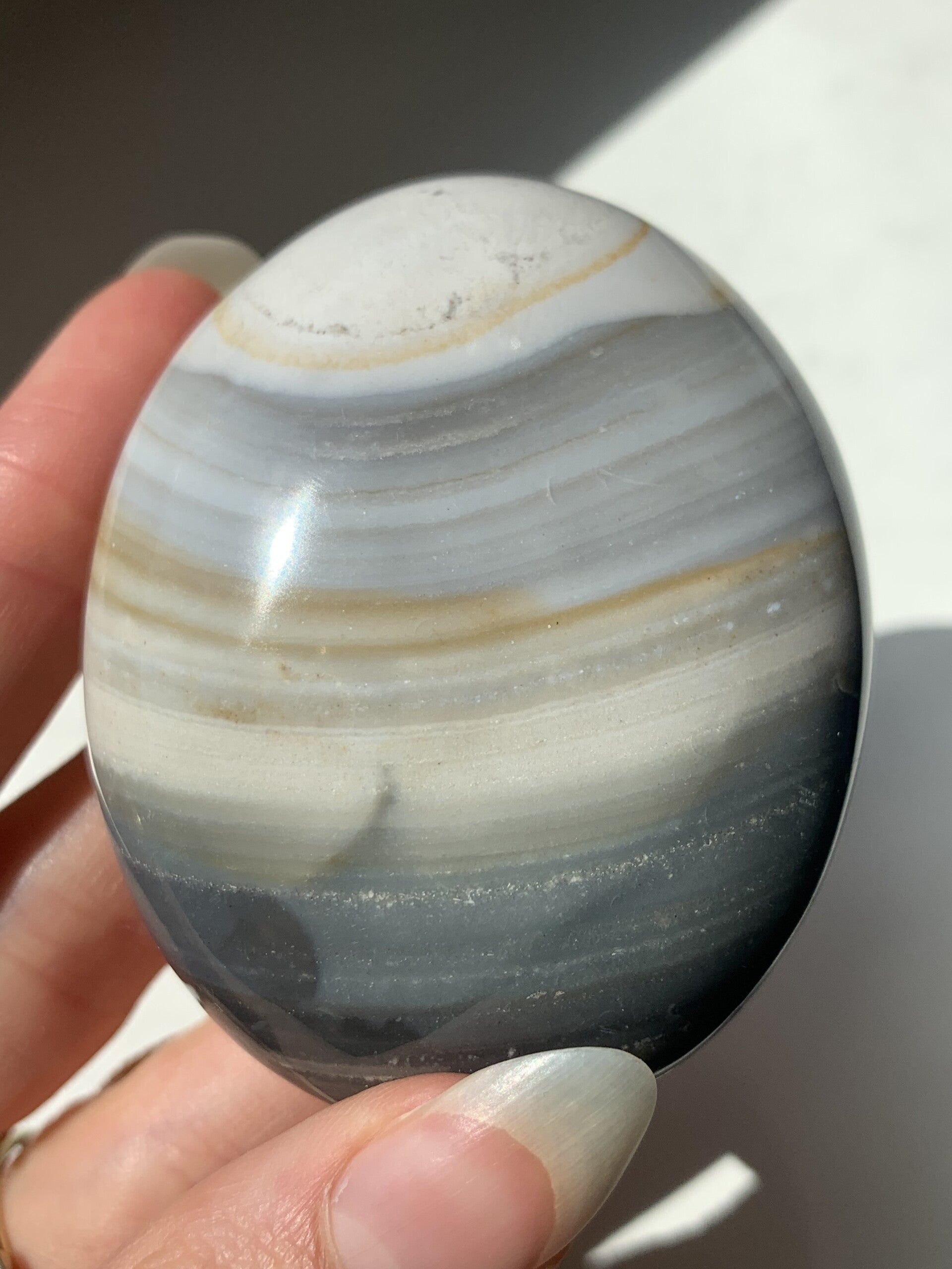 Oceaan jaspis palmsteen