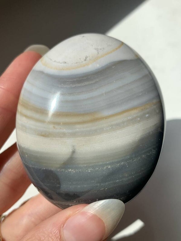 Oceaan jaspis palmsteen