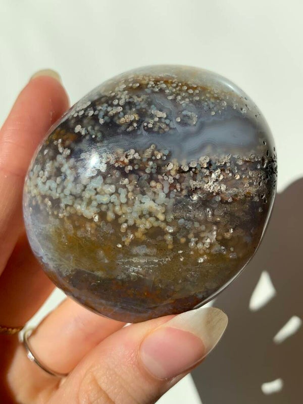 Oceaan jaspis palmsteen