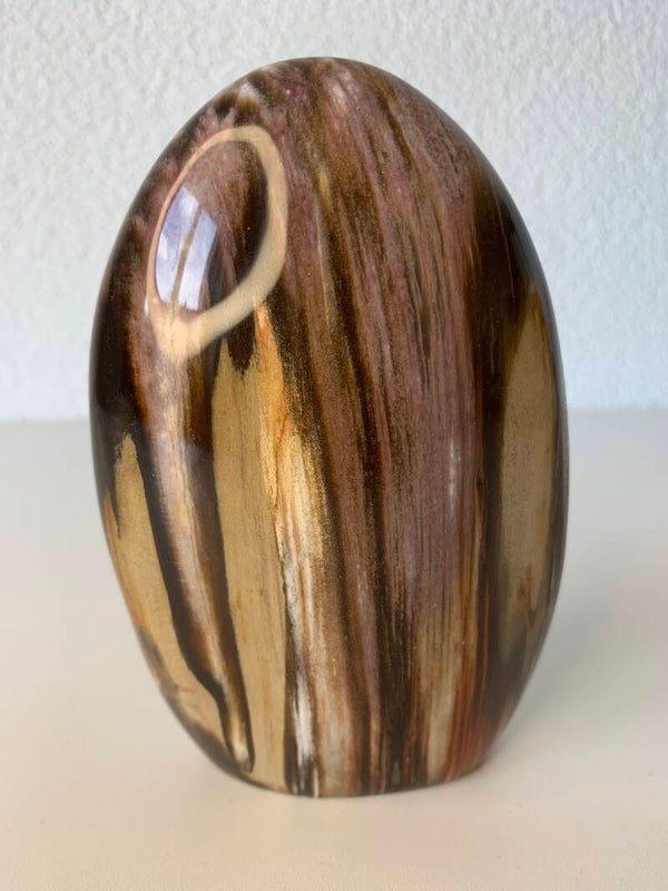 Versteend hout sculptuur
