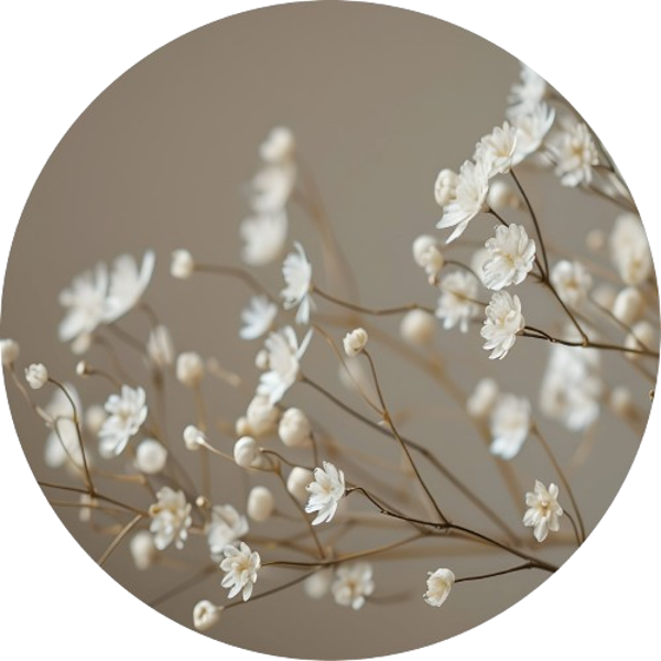 Muurcirkel Gipskruid beige 40 cm