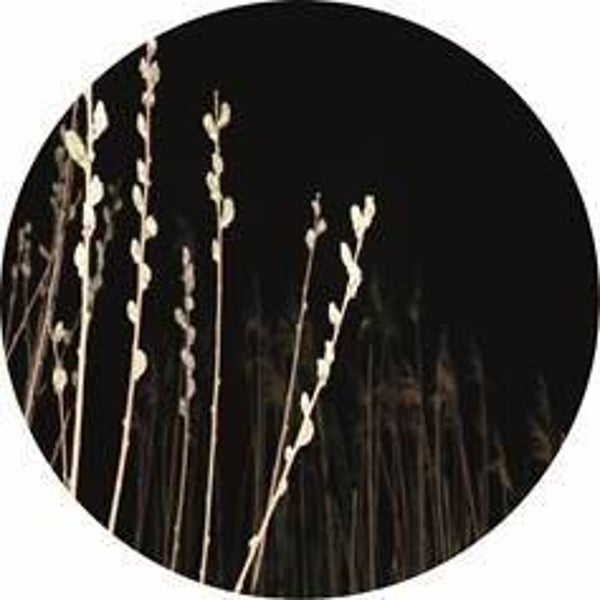 **Muurcirkel Glow 30 cm