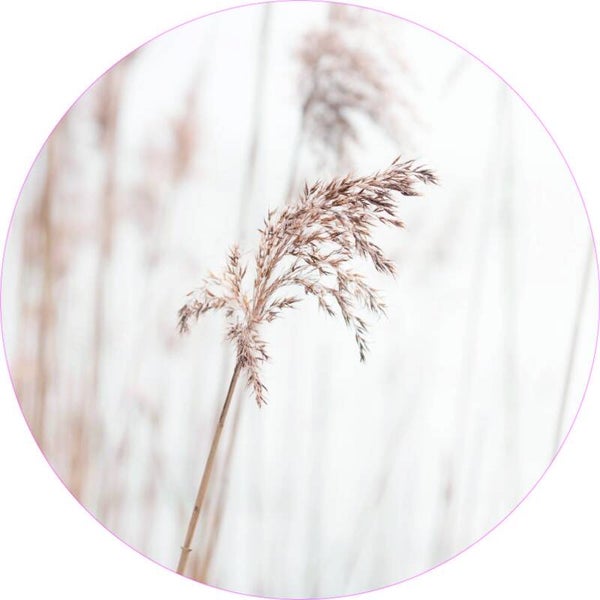 **Muurcirkel Halmen 30 cm