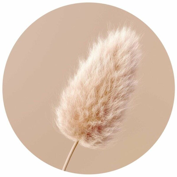 **Muurcirkel Hazenstaart I 40 cm