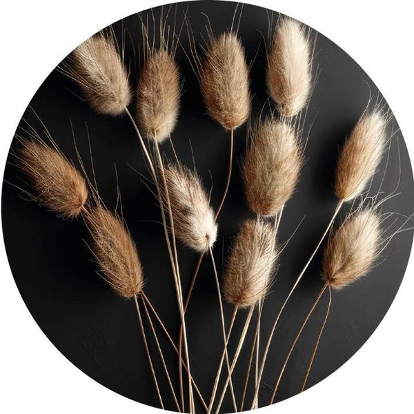 Muurcirkel Hazenstaart VII 40 cm