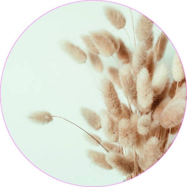 Muurcirkel Hazenstaarten III 30 cm