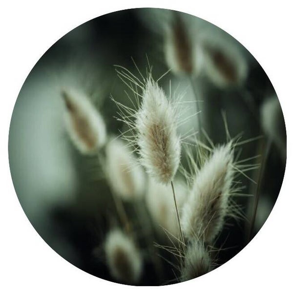 **Muurcirkel Hazenstaart VI 40 cm