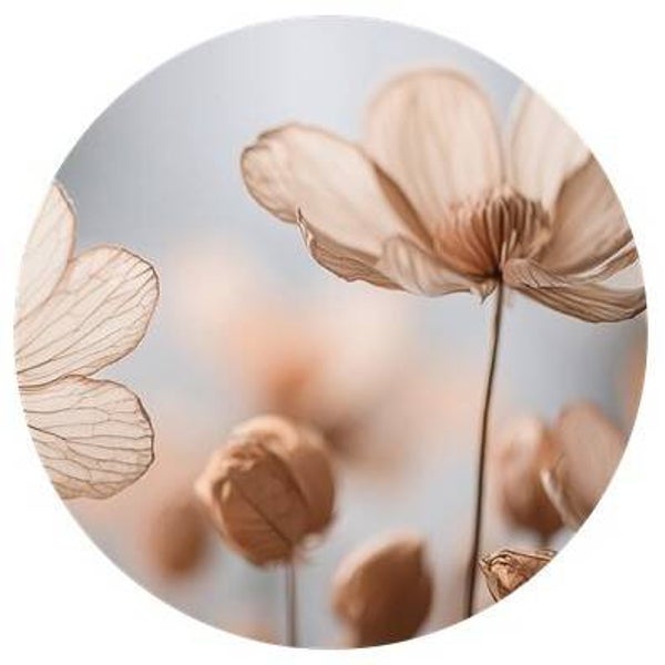 Muurcirkel Lovely Dried Flower multi 40 cm