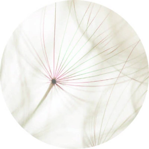 **Muurcirkel Bloem misty I 30 cm