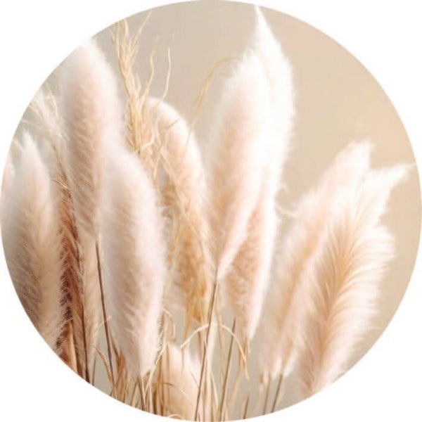 Muurcirkel Pampas soft II 40 cm
