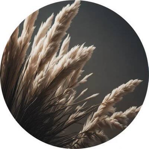 Muurcirkel pampas IV 30 cm